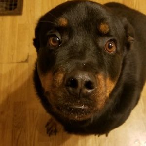 Meet your Posher, Brandy